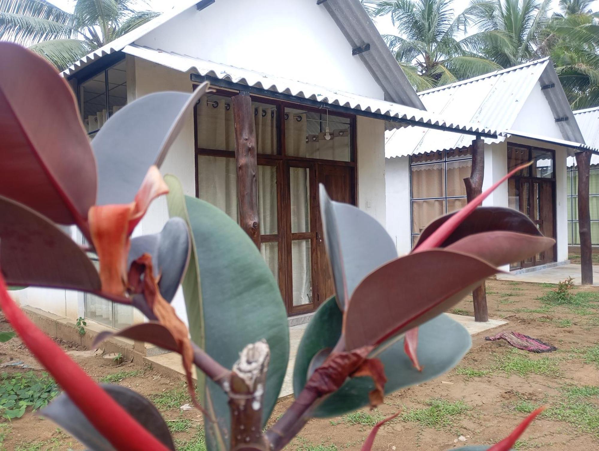 Paramount Safari Cottage Udawalawe Exterior photo